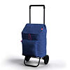 Argo Einkaufstrolley 45 L - blau GIMI 169292