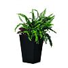 Rattan Planter S Blumentopf 29 x 29 x 44 cm - anthrazit KETER 228978