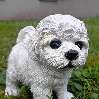 Bichon Hund, 17 x 16 cm, Polyresin, PRODEX WG16313