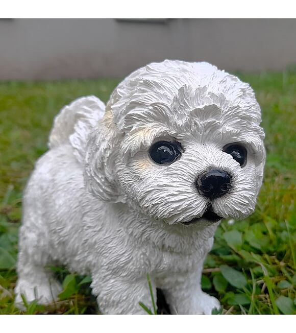 Bichon Hund, 17 x 16 cm, Polyresin, PRODEX WG16313