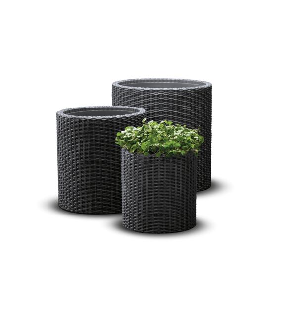 Blumentopf S+ M+ L CYLINDER anthrazit KETER 230217