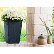 17192300-rattan-style-planter_3.jpg