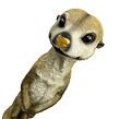 Erdmännchen stehend, beige, Polystone 51 cm Prodex A00074_A