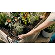 MDS Start-Set für Beete 35 Pflanzen GARDENA 13455-20