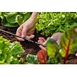 MDS Kupplung 4,6 mm GARDENA 13213-20