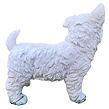 Hund Westie 22 x 20 cm, Polyresin PRODEX RES273