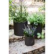 17197934-cylinder-planters-set_1.jpg