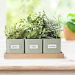 Greenish Kräutertopf 11,5 x 11,5 cm + Untersetzer, Metall/Bambus ORION 310629