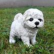 Bichon Hund, 17 x 16 cm, Polyresin, PRODEX WG16313
