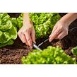 MDS Verteilerrohr 4,6 mm (3/16"), 15 m GARDENA 01350-20