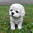 Bichon Hund, 17 x 16 cm, Polyresin, PRODEX WG16313