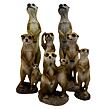 Erdmännchen stehend, 33 cm, Polystone, beige  PRODEX 795420110_A