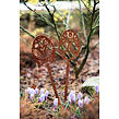 Gartendekoration Osterei 1, 51 x 14 cm, Corten CORGARDEN 1063