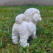 Bichon Hund, 17 x 16 cm, Polyresin, PRODEX WG16313