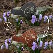 Gartendekoration Schnecke 28 × 19 cm, Corten CORGARDEN 1051