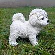Bichon Hund, 17 x 16 cm, Polyresin, PRODEX WG16313