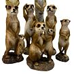 Erdmännchen stehend, 33 cm, Polystone, beige  PRODEX 795420110_A