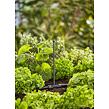 MDS Verlängerungsrohr für Sprühdüsen GARDENA 13326-20