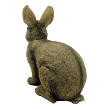 Kaninchen aus Polystone sitzend 22 x 22 cm Prodex A00420