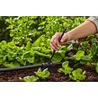 MDS Verlängerungsrohr für Sprühdüsen GARDENA 13326-20