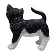 Katze Polystone schwarz/weiß 23 x 22 cm Prodex LG0586A1