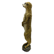 Erdmännchen stehend, beige, Polystone 51 cm Prodex A00074_A