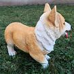 Hund Welsh Corgi, 30 × 26 cm, Polystone PRODEX WG20057