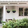 17199246-hanging-sphere-plante_8.jpg
