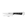 ICE FORCE Steakmesser 11 cm 4 stück TEFAL K232S414