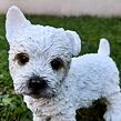 Hund Westie 22 x 20 cm, Polyresin PRODEX RES273